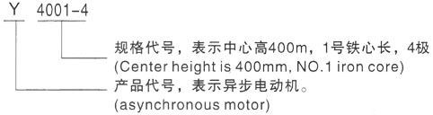 西安泰富西玛Y系列(H355-1000)高压YJTG-225M-6A/30KW三相异步电机型号说明